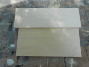 DSCN0412