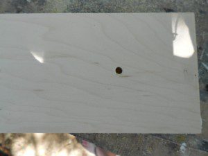 DSCN0429