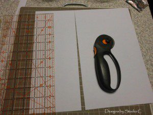 SANY0966
