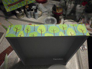 SANY0976