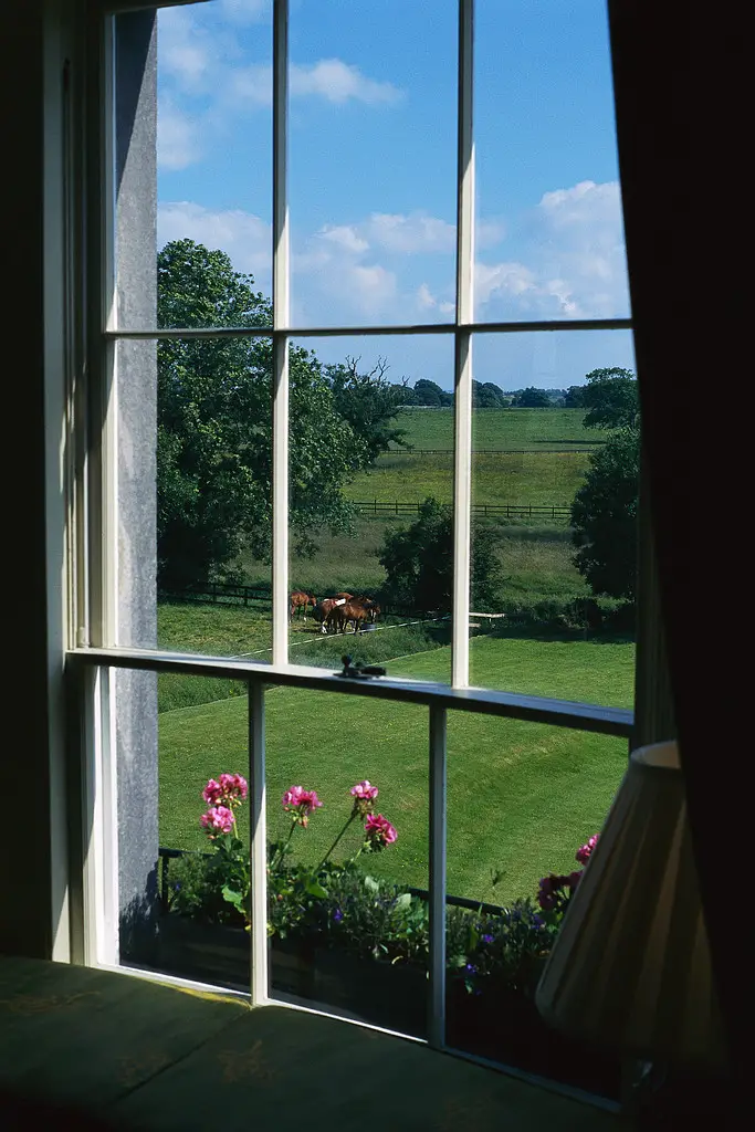 energy efficient windows for the home looking out on a field