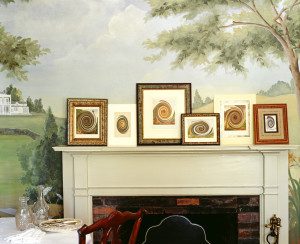Frames of rooster placed above the fireplace