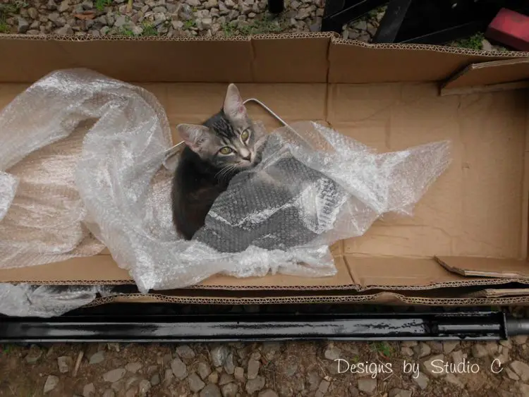 trailer frame painting spray paint _ kitty laying in the box