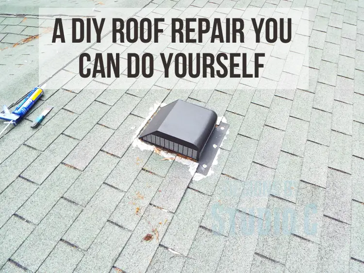 DIY Roof Maintenance DSCF1636