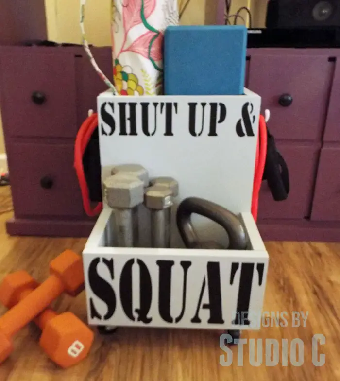 DIY Exercise Equipment Organizer for the Power Tool Challenge-Front View