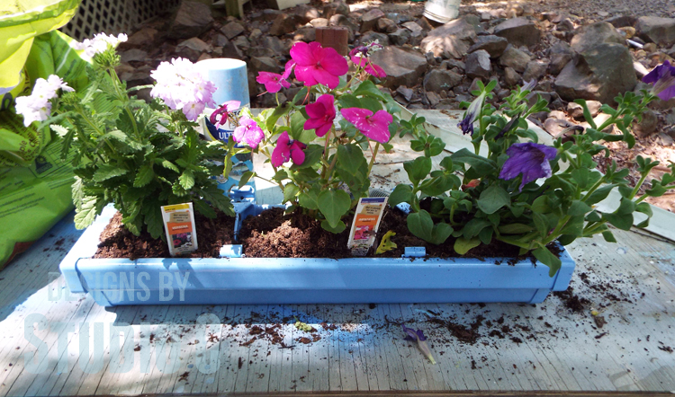 DIY Rain Gutter Planter - Plants