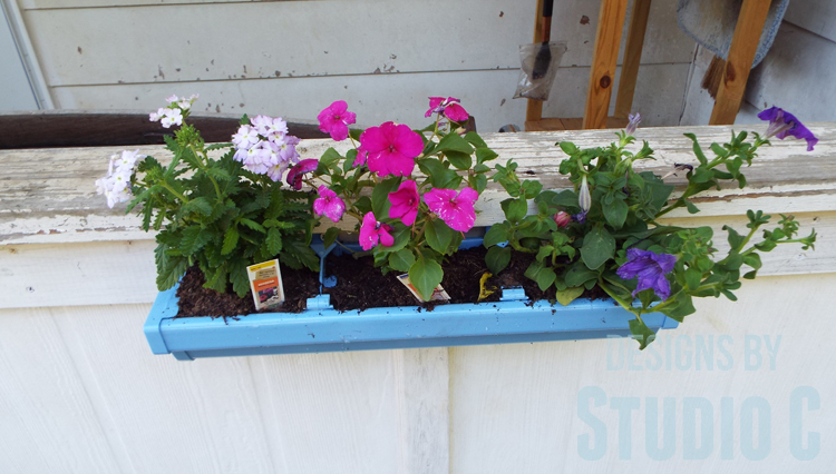 DIY Rain Gutter Planter - Front View