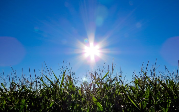 take care air conditioner sun over grass