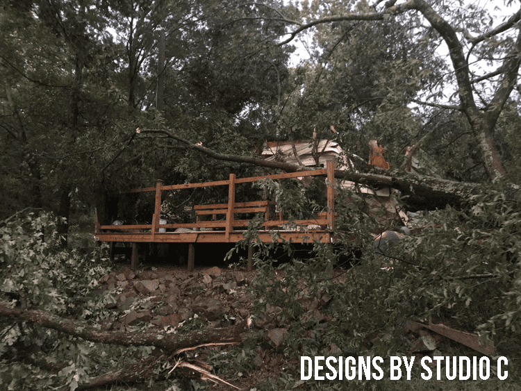 What I've Learned Since a Tree Fell On My House on deck