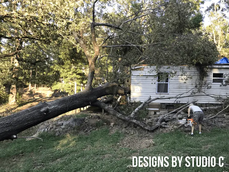 What I've Learned Since a Tree Fell On My House