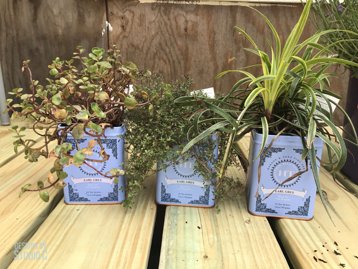 outdoor planter ideas tea tins