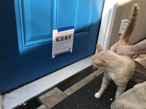 how to install pet door _Chester