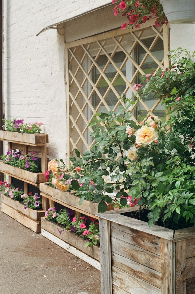 outdoor planter ideas