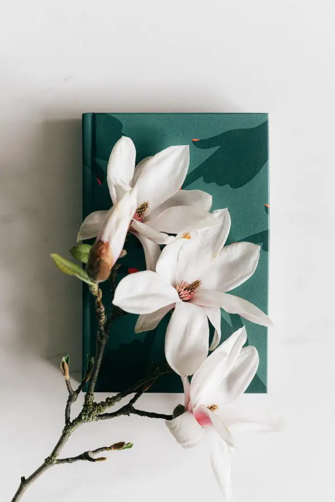 decorating ideas for coffee tables flowers on a book