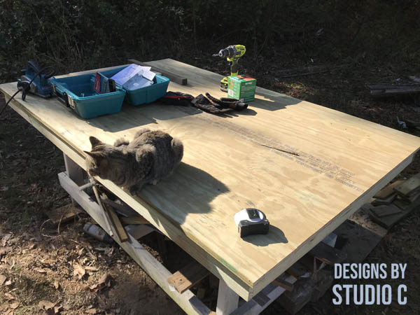 DIY new top work table with tools and cat