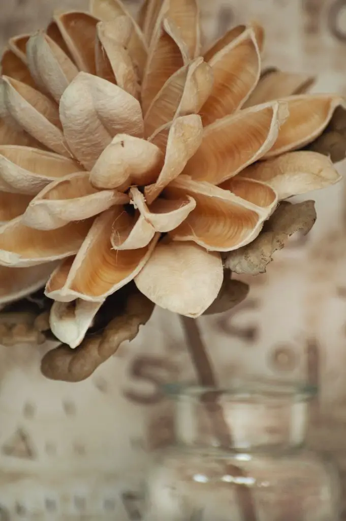 incorporating neutral colors in the home beautiful flower