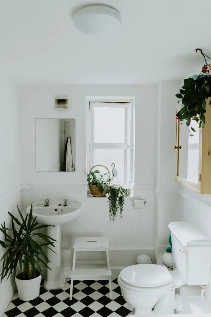 bathroom renovation on a budget clean white with plants