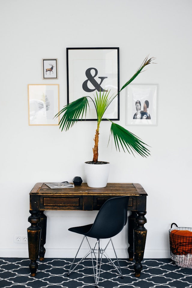 ideas for your home entryway large plant on table with art on wall